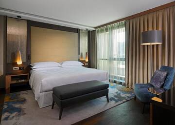 Фотографии Отель Sheraton Grand Tbilisi Metechi Palace г. Тбилиси (Грузия) №2 Фото Отель Sheraton Grand Tbilisi Metechi Palace г. Тбилиси 2