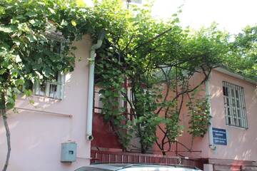Фотографии Хостелы Hostel Old City Sololaki г. Тбилиси (Грузия) №4 Фото Хостелы Hostel Old City Sololaki г. Тбилиси 4