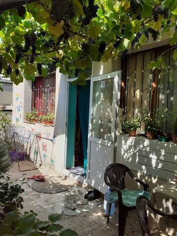 Фотографии Проживание в семье Homestay On Gabashvili 43 г. Тбилиси (Грузия) №5 Фото Проживание в семье Homestay On Gabashvili 43 г. Тбилиси 5