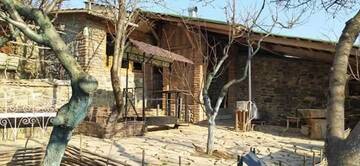Фотографии Гостевой дом In my georgian family г. Тбилиси (Грузия) №3 Фото Гостевой дом In my georgian family г. Тбилиси 3