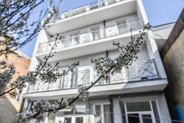 Фотографии Отель MariaLuis Hotel г. Тбилиси (Грузия) №5 Фото Отель MariaLuis Hotel г. Тбилиси 5