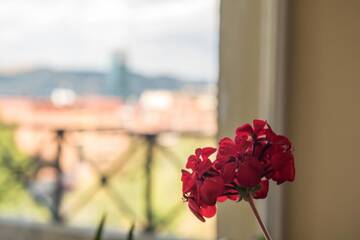 Фотографии Гостевой дом Terrace House Tbilisi г. Тбилиси (Грузия) №4 Фото Гостевой дом Terrace House Tbilisi г. Тбилиси 4