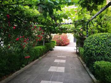 Фотографии Виллы Varketili Garden г. Тбилиси (Грузия) №4 Фото Виллы Varketili Garden г. Тбилиси 4
