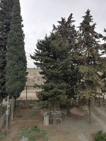 Фотографии Гостевой дом Cypress Hotel г. Тбилиси (Грузия) №2 Фото Гостевой дом Cypress Hotel г. Тбилиси 2