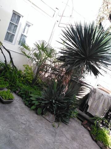 Фотографии Гостевой дом Green Guest House г. Тбилиси (Грузия) №1 Фото Гостевой дом Green Guest House г. Тбилиси 1