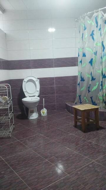Фотографии Хостелы your hostel г. Тбилиси (Грузия) №5 Фото Хостелы your hostel г. Тбилиси 5