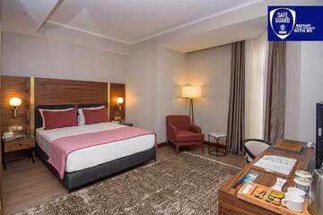 Фото номера Стандартный двухместный номер с 1 кроватью Отель Tiflis Palace г. Тбилиси 2