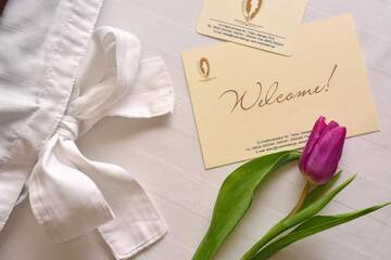 Фото номера Небольшой двухместный номер с 1 кроватью Отель Boutique Villa Mtiebi г. Тбилиси 3