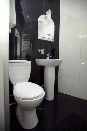 Фото номера Двухместный номер с 2 отдельными кроватями Отель Silver Hotel г. Тбилиси 3