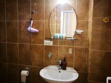 Фото номера Бюджетный двухместный номер с 1 кроватью Отель Hotel Salo г. Тбилиси 3