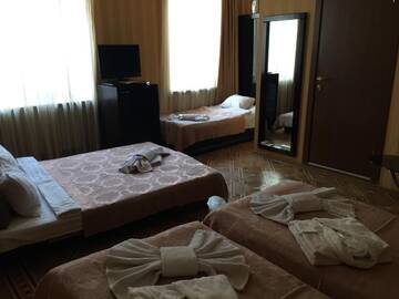 Фото номера Полулюкс Отель Danisimo Hotel г. Тбилиси 8