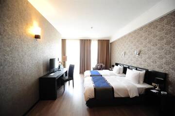 Фото номера Стандартный двухместный номер с 2 односпальными кроватями Отель Best Western Tbilisi Art Hotel г. Тбилиси 8