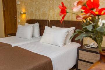 Фото номера Стандартный двухместный номер с 2 отдельными кроватями Отель King David Hotel г. Тбилиси 8
