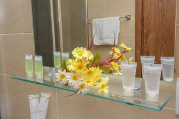 Фото номера Стандартный двухместный номер с 2 отдельными кроватями Отель King David Hotel г. Тбилиси 7