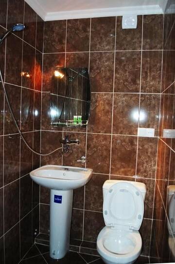 Фото номера Стандартный двухместный номер с 2 отдельными кроватями и видом на город Отель Bonus Hotel г. Тбилиси 4