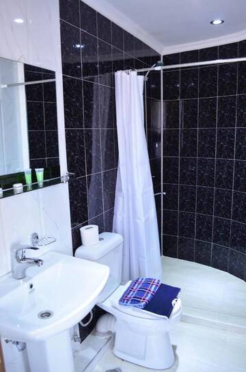 Фото номера Роскошный трехместный номер Отель Bonus Hotel г. Тбилиси 4