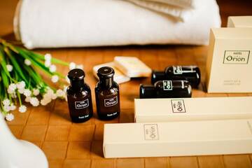 Фото номера Стандартный двухместный номер с 1 кроватью Отель Hotel Orion Old Town г. Тбилиси 7