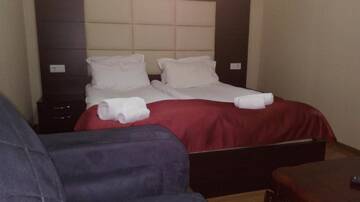 Фото номера Бюджетный двухместный номер с 1 кроватью Отель Hotel White Neptun Georgia Tbilisi г. Тбилиси 3