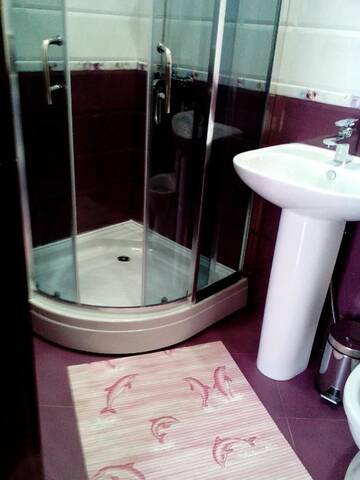 Фото номера Бюджетный двухместный номер с 1 кроватью Отель Hotel White Neptun Georgia Tbilisi г. Тбилиси 8