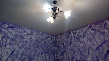 Фото номера Двухместный номер с 1 кроватью Отель Hotel Isani г. Тбилиси 13