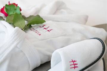 Фото номера Стандартный двухместный номер с 2 отдельными кроватями Отель Hotels &amp; Preference Hualing Tbilisi г. Тбилиси 14