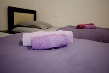 Фото номера Семейный номер с ванной комнатой Гостевой дом Guest House Zatika г. Тбилиси 5