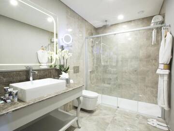 Фото номера Привилегированный двухместный номер с 1 кроватью Отель Mercure Tbilisi Old Town г. Тбилиси 8