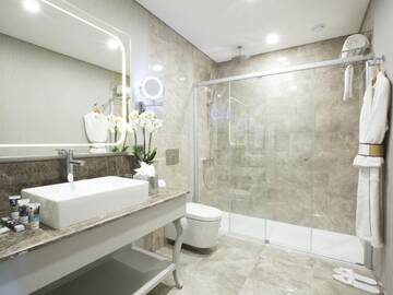 Фото номера Привилегированный двухместный номер с 1 кроватью Отель Mercure Tbilisi Old Town г. Тбилиси 3
