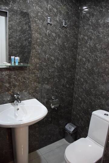 Фото номера Трехместный номер с собственной ванной комнатой Отель Crossway Tbilisi Hotel г. Тбилиси 7