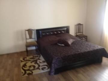 Фото номера Апартаменты Гостевой дом Guest House Gikacha г. Тбилиси 24
