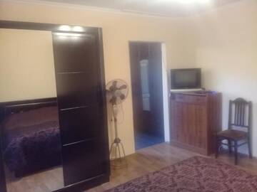 Фото номера Апартаменты Гостевой дом Guest House Gikacha г. Тбилиси 8