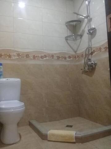 Фото номера Люкс с 1 спальней Гостевой дом Guest house Lusia г. Тбилиси 11