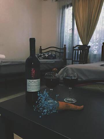 Фото номера Двухместный номер с 2 отдельными кроватями Гостевой дом Terrace House Near Opera г. Тбилиси 2