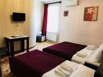 Фото номера Просторный двухместный номер с 2 отдельными кроватями Отель Hotel Villa on Bachana 10 г. Тбилиси 3