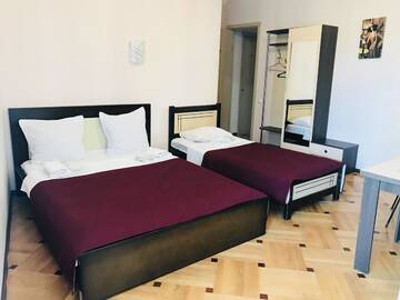 Фото номера Просторный двухместный номер с 2 отдельными кроватями Отель Hotel Villa on Bachana 10 г. Тбилиси 4