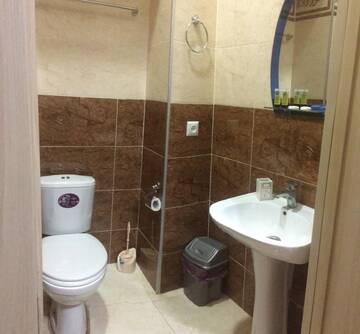 Фото номера Двухместный номер Делюкс с 1 кроватью и ванной Отель Hotel Villa on Bachana 10 г. Тбилиси 5