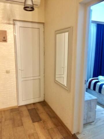 Фото номера Апартаменты Апарт-отели Apartments marjanishvili г. Тбилиси 29