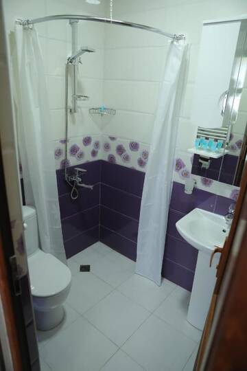 Фото номера Трехместный номер, вид на сад Отель Hotel Luxor г. Тбилиси 6