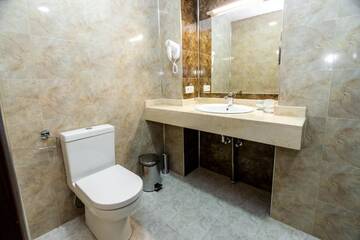 Фото номера Апартаменты - 1-й этаж Отель Elia Palace Hotel г. Тбилиси 8