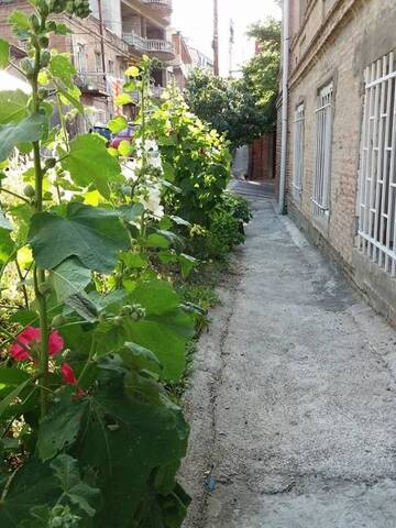 Фото номера Двухместный номер с 2 отдельными кроватями Гостевой дом Guest House Liana г. Тбилиси 24