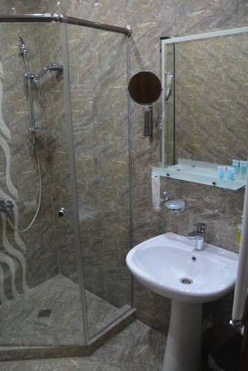 Фото номера Двухместный номер с 1 кроватью Гостевой дом City Hotel г. Тбилиси 11