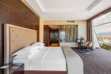 Фото номера Премиум Отель The Biltmore Tbilisi Hotel г. Тбилиси 4