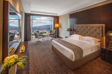 Фото номера Полулюкс Отель The Biltmore Tbilisi Hotel г. Тбилиси 5