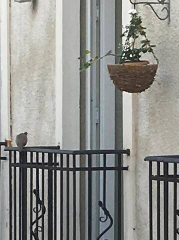 Фото номера Апартаменты с 1 спальней Апарт-отели Cozy Home in Old Tbilisi. г. Тбилиси 84