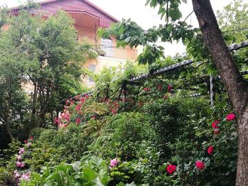 Фото номера Вилла Виллы Varketili Garden г. Тбилиси 24