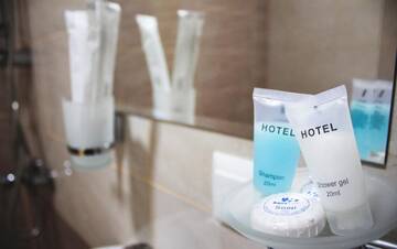 Фото номера Большой двухместный номер с 1 кроватью Отель Twins Hotel г. Тбилиси 7
