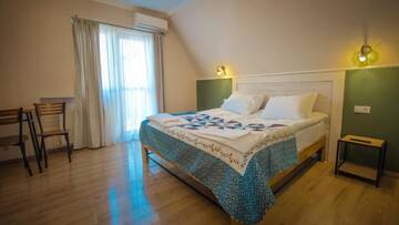 Фото номера Стандартный двухместный номер с 1 кроватью Отель Wine Symphony Boutique Hotel г. Тбилиси 3