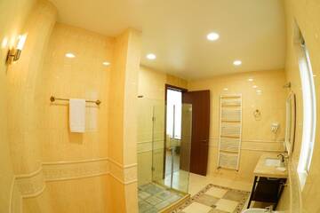 Фото номера Полулюкс Отель Hotel Flower г. Тбилиси 7