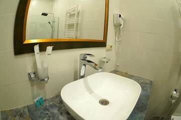 Фото номера Полулюкс с балконом Отель Hotel Flower г. Тбилиси 5