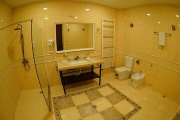 Фото номера Полулюкс с балконом Отель Hotel Flower г. Тбилиси 5
